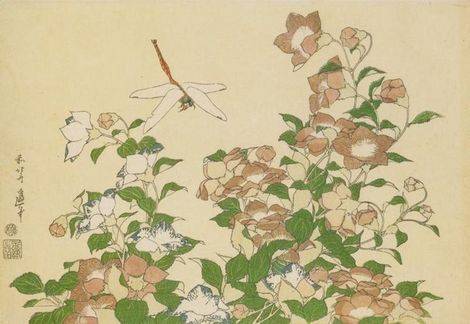 Bell Flower and Dragonfly - Katsushika Hokusai
