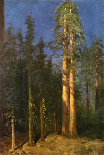 California Redwoods II - Albert Bierstadt