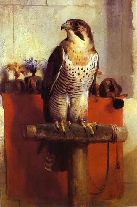 Falcon - Edwin Henry Landseer