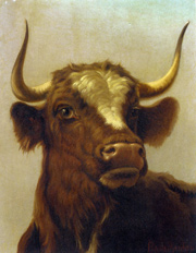 Head of the Bull - Rosa Bonheur