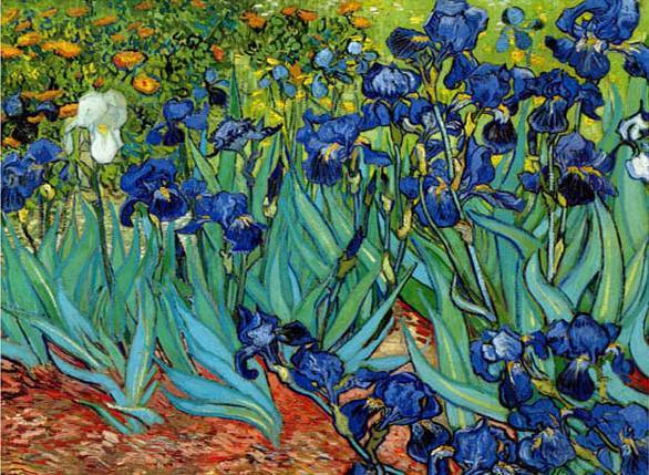 Irises at St. Remy - Vincent van Gogh