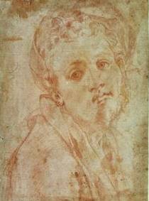 The Jacopo da Pontormo Biography