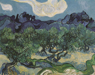 Olive Trees in Mountains - Vincent van Gogh
