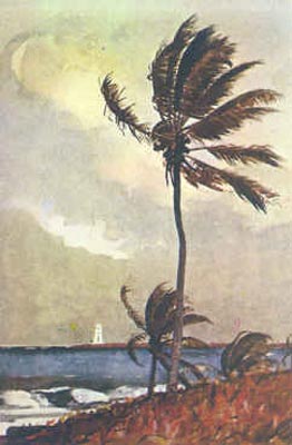Palm Tree, Nassau - Winslow Homer