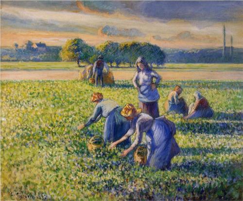 Pea Harvest - Camille Pissarro