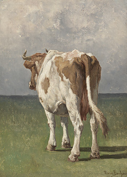 Study of a Cow - Rosa Bonheur