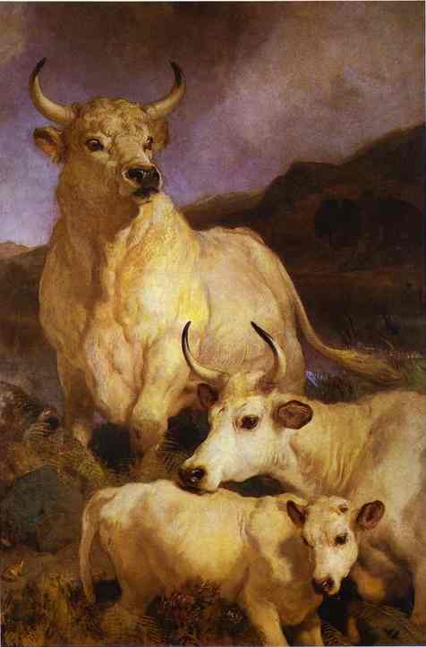 Wild Cattle of Chillingham - Edwin Henry Landseer