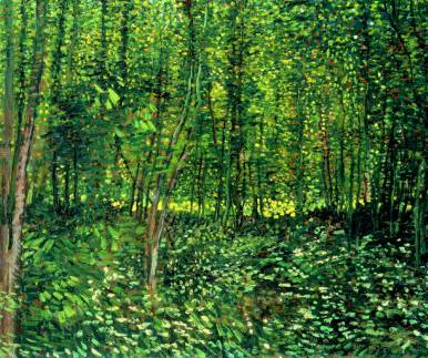 Woods and Undergrowth - Vincent van Gogh