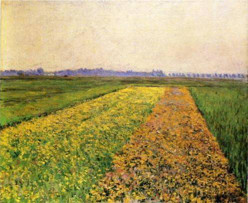 Yellow Fields at Gennevilliers - Gustave Caillebotte