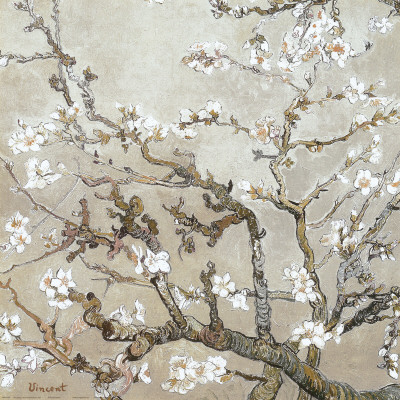 Blossoming Almond Tree in Tan - Vincent Van Gogh