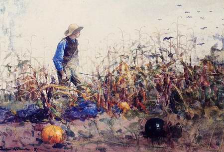 Among the Vegetables (or Boy in a Cornfield) - Winslow Homer