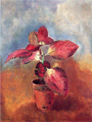 Begonia in a Pot - Odilon Redon