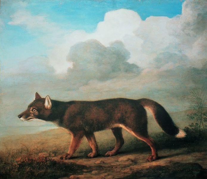 Portrait of a Large Dog - George Stubbs